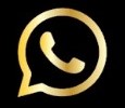 WhatsApp logo